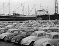 That's a LOT of Slug Bugs!